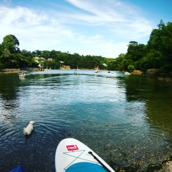 Stand Up Paddle Boarding (SUP) Paignton, Torbay