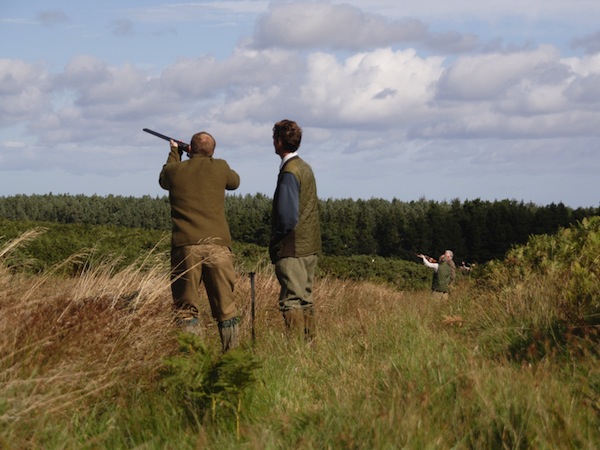 Clay Pigeon Shooting Narborough, Norfolk
