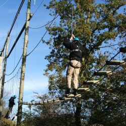 High Ropes Course Thetford, Norfolk