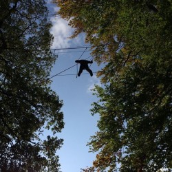 High Ropes Course Esher, Surrey
