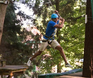 High Ropes Course Potters Bar, Hertfordshire