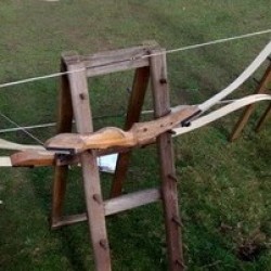 Archery Mansfield, Nottinghamshire
