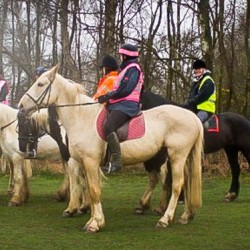 Horse Riding Georgeham, Devon